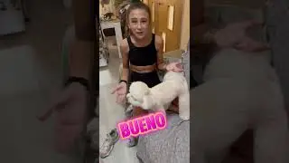 🔥 Hice este RETO 🔥 DE GIMNASIA RÍTMICA ❤️ con mi PERRITA 🐕 ¿AGUANTO 🥵 20 SEG HACIENDO EL SPAGAT?