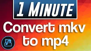 How to Convert MKV to MP4 Tutorial | Movavi Video Converter Premium