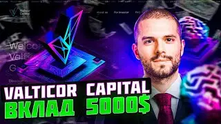 ОБЗОР VALTICOR CAPITAL GROUP | ИНВЕСТИЦИИ В ПРОЕКТ 5000$