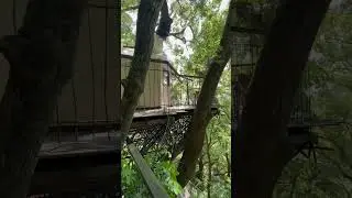 The treehouse at Hoshino Resorts Risonare in Atami, Japan