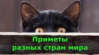 Приметы разных стран мира, которые вас удивят.