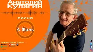 Анатолий Кулагин - А Жаль