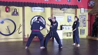 Kempo Aiki Jutsu Vol.2