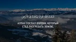 Красивое чтение Корана