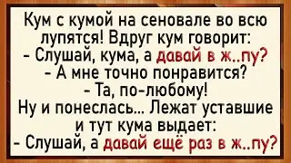 Как куме понравилось туда! Сборник свежих анекдотов! Юмор!