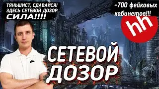 Сетевой Дозор/Забанил 700 фейковых кабинетов тяньшистов на HH.RU/Сокрушительный удар по рекрутингу!