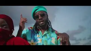 Koona - Bebe Cool  X Ray Signature