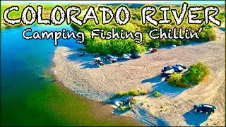 COLORADO RIVER CAMPING FISHING in 4K UltraHD