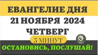 21 НОЯБРЯ ЧЕТВЕРГ  ЕВАНГЕЛИЕ ДНЯ 5 МИНУТ АПОСТОЛ МОЛИТВЫ 2024 #мирправославия