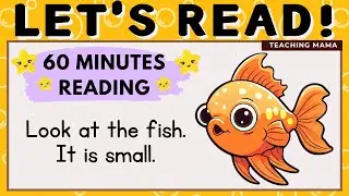 LETS READ! | READING COMPILATION | PRACTICE READING ENGLISH | 1 HR ENGLISH READING | TEACHING MAMA