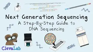 Next Generation Sequencing - A Step-By-Step Guide to DNA Sequencing.