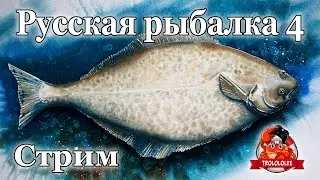 Русская рыбалка 4. Норвежское море стрим. Покупаю катушку