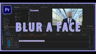 How To Use Face Blur in premiere pro tutorial