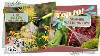 Top 10 Summer Garden Watering Tips