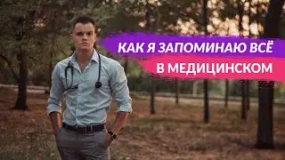 КАК Я ВСЁ ЗАПОМИНАЮ В МЕДИЦИНСКОМ + МНЕМОНИЧЕСКИЕ ТЕХНИКИ