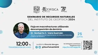 Seminario "Flujo en macrofracturas utilizando descomposición de dominio"