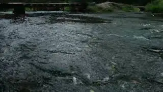 Water under Bridge