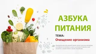 Азбука питания. Очищение организма