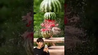 Watermelon vs rubber