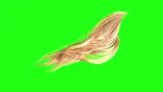 Green Screen Hair effects overlay