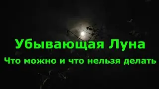 Убывающая Луна. Что можно и что нельзя делать.