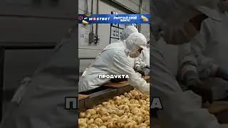 Производство чипсов 😮🔥🥔