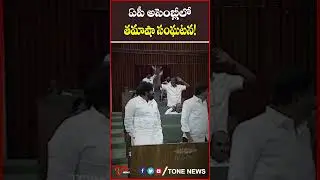 తమాషా సంఘటన..! #chandrababu #apassembly #pawankalyan #ysjagan #tdp #bjp #nda #tonenews