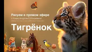 Тигренок / Рисуем в прямом эфире вместе с Александром Елтышев и анонс Курса 