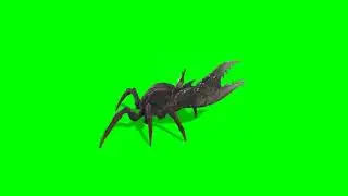 crab  green screen video 4k free effect