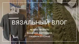 ВЯЗАЛЬНЫЙ ВЛОГ. Сходила в поход . Мои процессы . Вяжу кардиганы