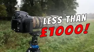 Nikon D800 | Budget Wildlife Photography for less than £1000!