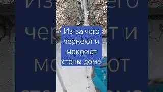 Из-за чего чернеют и мокреют стены ? | ремонт межпанельных швов в панельных домах #промальп #швы