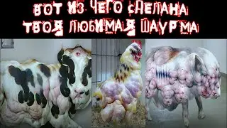 Реакция на Смертельные файлы 63: goBepue и Happy Meat Farms Genome Modification