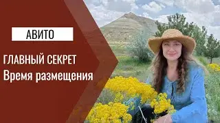 Как выжать из Авито максимум стресса: худшее время размещения объявления 