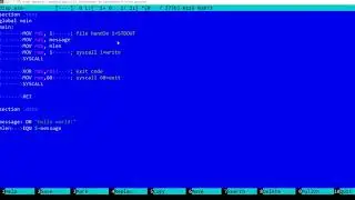 Writing to Linux console in 64bit assembly language using SYSCALL