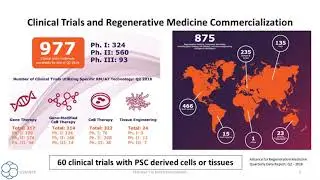 GMP cell banks as part of a staged, standardized, platform-style cell production process