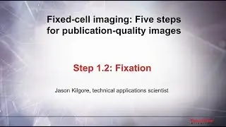 1.2 Fixation–Fixed cell imaging: 5 steps for publication-quality images