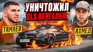 ТАМАЕВ УНИЧТОЖИЛ CLS ВЕНГАЛБИ! Конфликт с Ахмедом?!