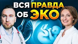 Как победить бесплодие || Этапы ЭКО ||  Мифы об ЭКО и ИКСИ