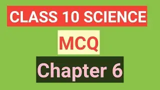 জীৱন প্ৰক্ৰিয়া || IMPORTANT MCQ QUESTIONS || G. SCIENCE || HSLC 2023