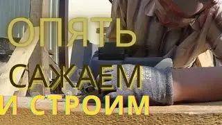 Опять сажаем и строим! / Жизнь в деревне