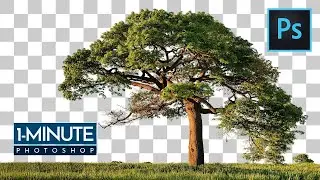 How to Cut Out Tree in 1 Minute With Adobe Photoshop CC 2022