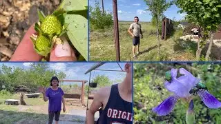 Шиндяевы: высадили огурцы и перцы / подарки от подписчиков и самой себе