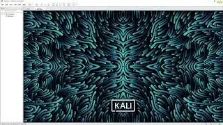 Installing Kali Linux in VMWare Workstation Pro 16 tutorial.