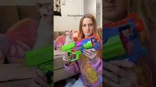 I Got My Cats Nerf Toys #shorts #pets #toys #sphynx #cats