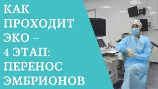 Как проходит ЭКО – 4 этап: перенос эмбрионов