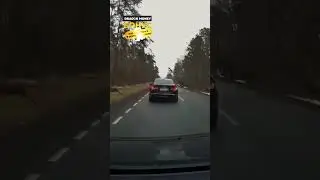 Стадо оленей сбило машину 🦌🚙⚠️