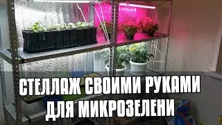 СТЕЛЛАЖ ДЛЯ МИКРОЗЕЛЕНИ СВОИМИ РУКАМИ - ИЗ ПРОФИЛЯ - РАЗМЕРЫ - ГДЕ КУПИТЬ - БИЗНЕС ДОМА МИКРОЗЕЛЕНЬ