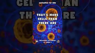 The human body is made up of about 37 trillion cells!