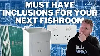 Must Have Inclusions for Your Next Fishroom - Planning a Fishroom